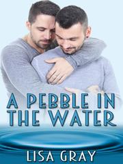 A Pebble in the Water Book