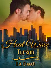 Heat Wave: Tucson Book