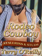 Stallions and Studs: Rodeo Cowboy Book