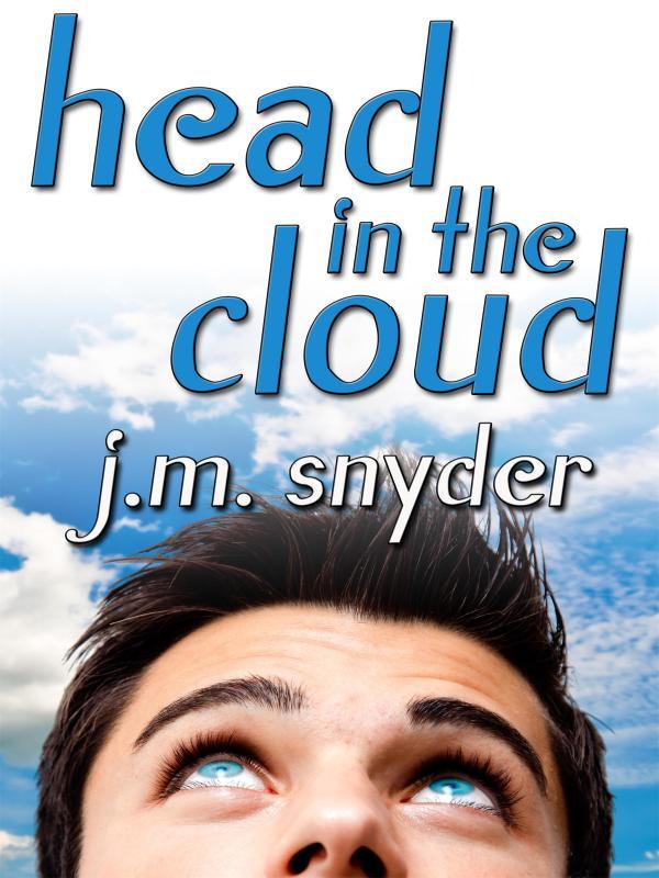 Head in the Cloud Book