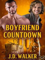 Boyfriend Countdown Book