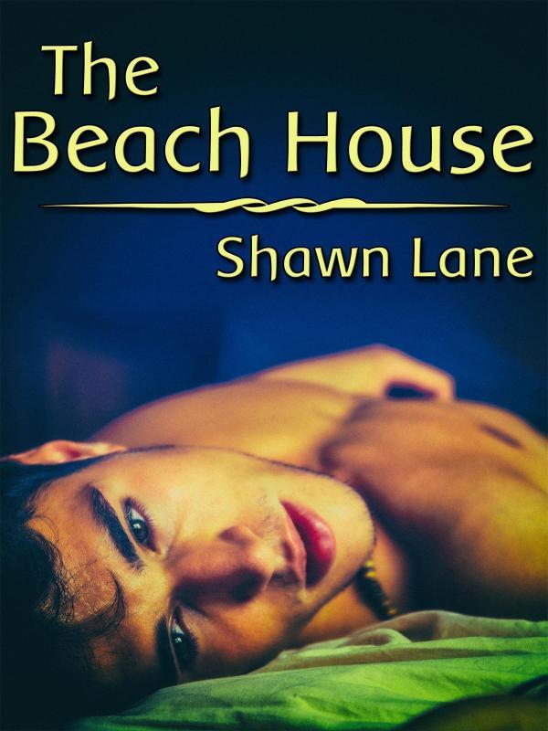 The Beach House Book