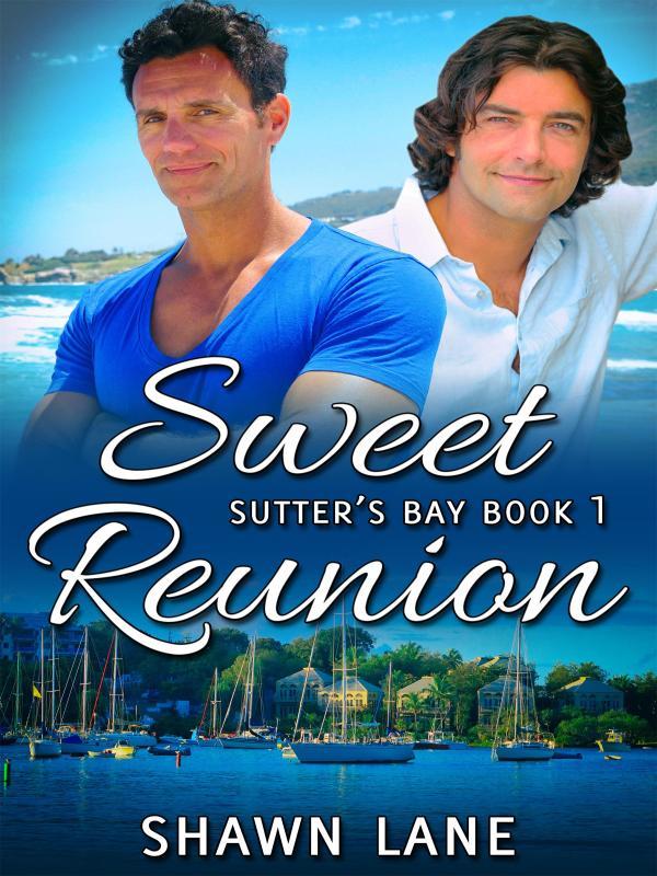 Sweet Reunion Book