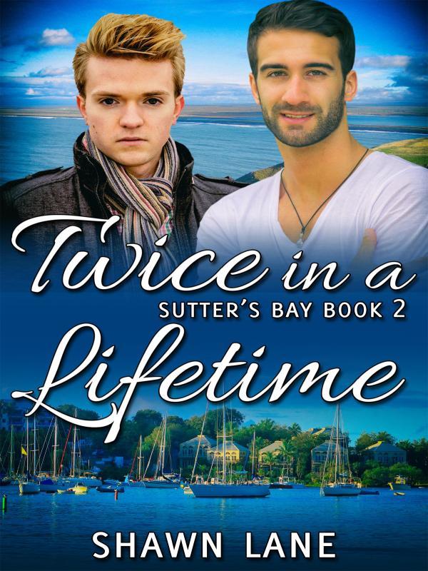 Twice in a Lifetime Book