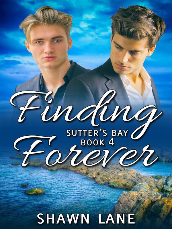 Finding Forever Book