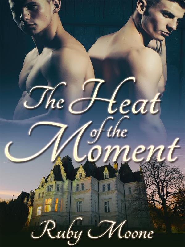The Heat of the Moment Book