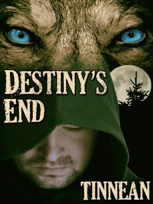 Destiny's End Book