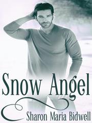Snow Angel Book
