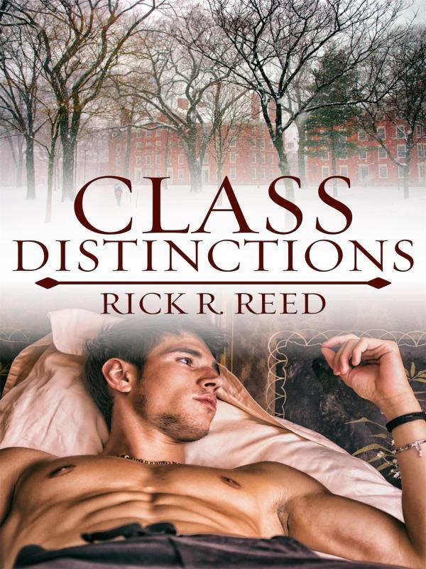 Class Distinctions Book