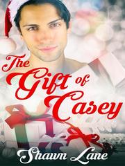The Gift of Casey Book