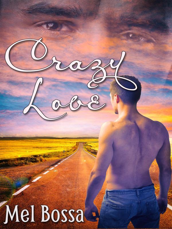 Crazy Love Book