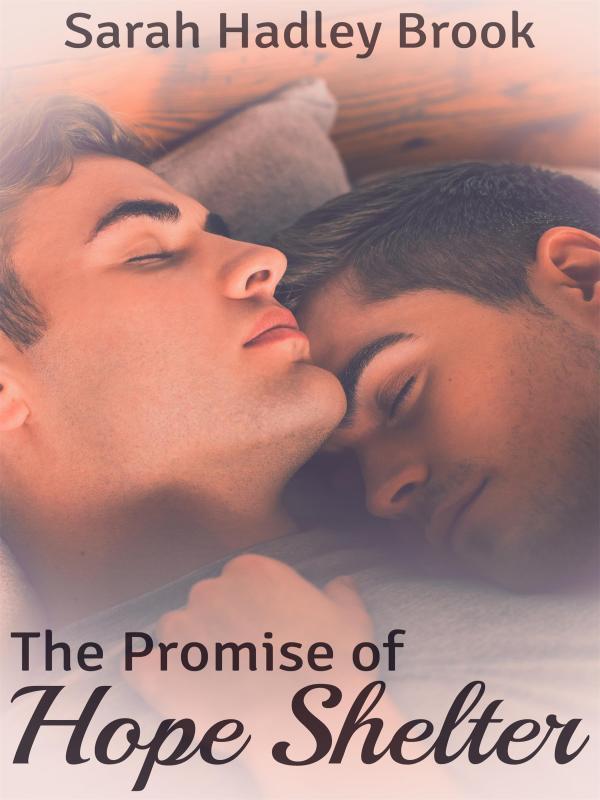 The Promise of Hope Shelter Book