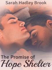 The Promise of Hope Shelter Book