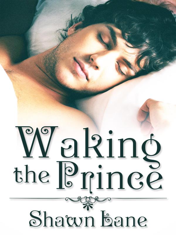 Waking the Prince Book