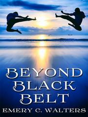 Beyond Black Belt Book
