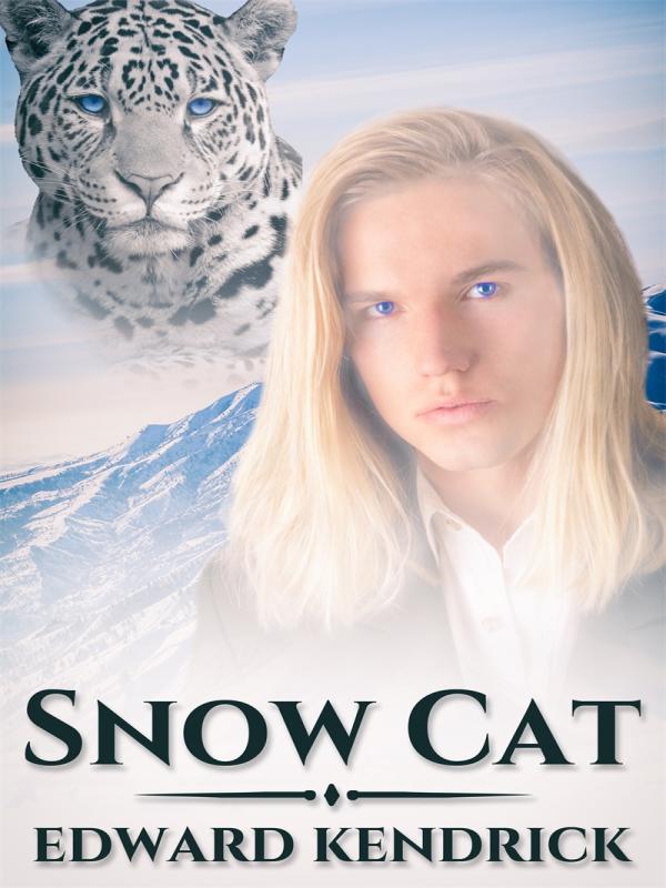 Snow Cat Book