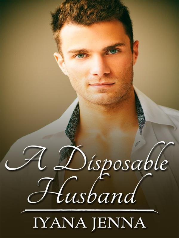 A Disposable Husband Book