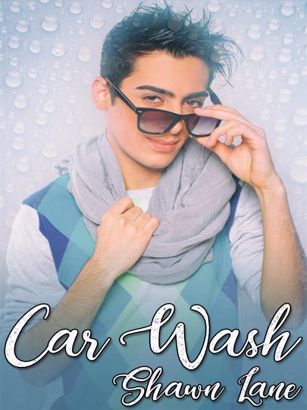 Car Wash Book