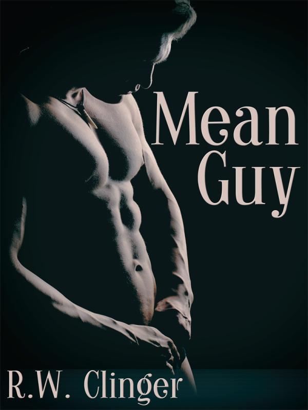 Mean Guy Book