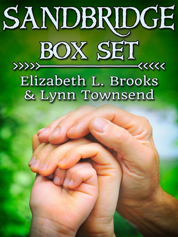 Sandbridge Box Set Book