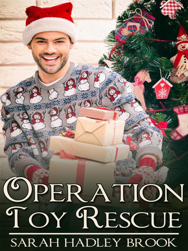 Operation Toy Rescue