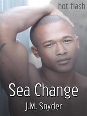 Sea Change Book