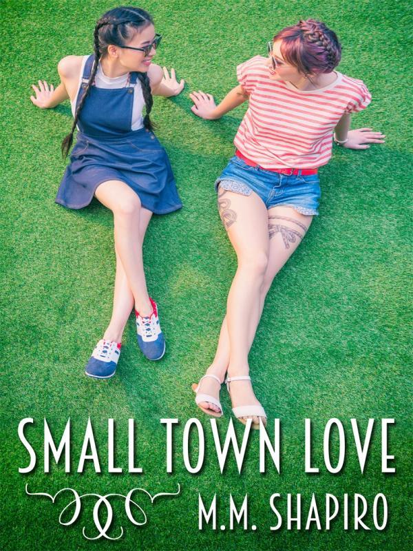 Small Town Love Book