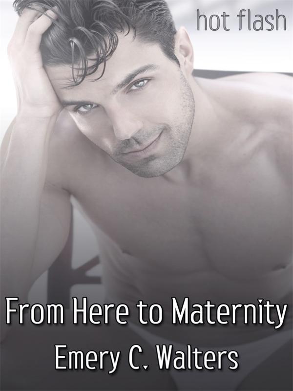From Here to Maternity Book