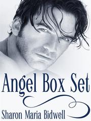 Angel Box Set Book