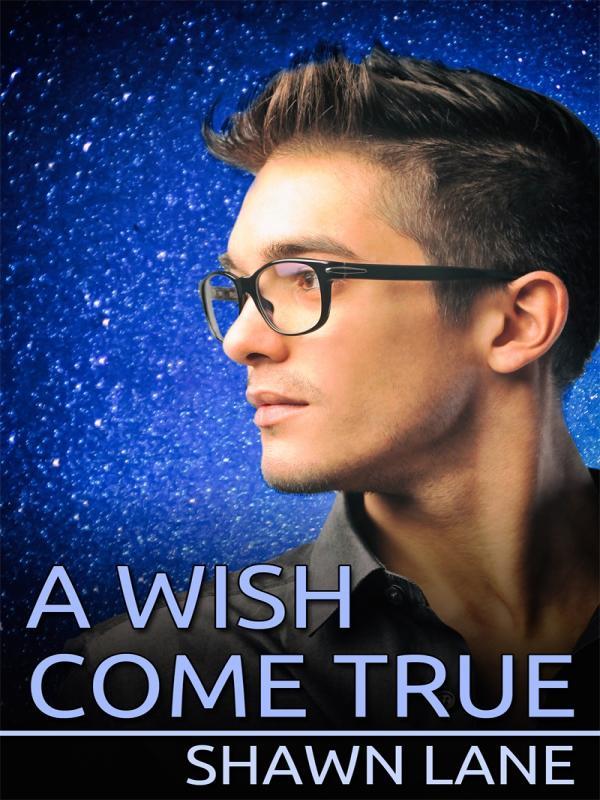 A Wish Come True Book
