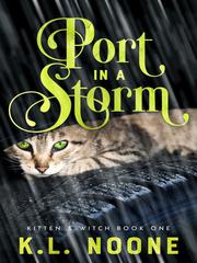 Port in the Storm Book