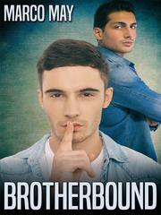 Brotherbound Book