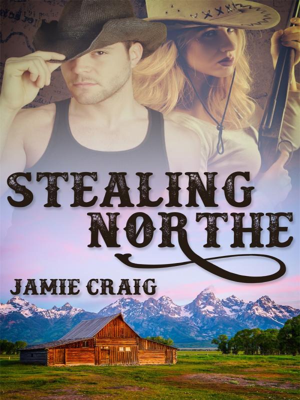 Stealing Northe Book