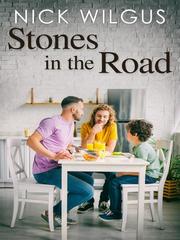 Stones in the Road Book