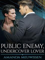 Public Enemy, Undercover Lover Book