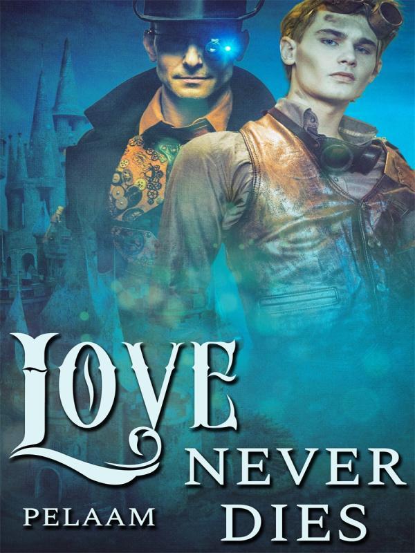 Love Never Dies Book