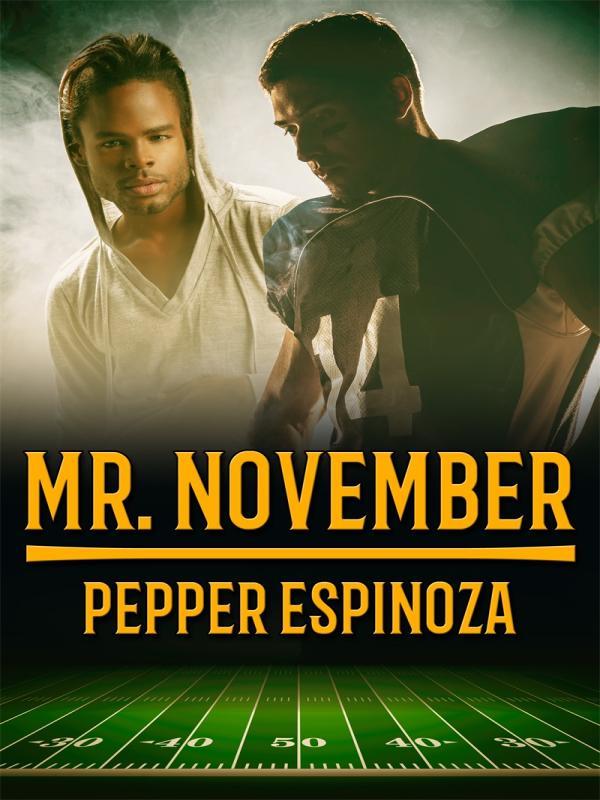 Mr. November Book