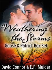 Weathering the Storms Box Set Book