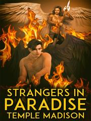 Strangers in Paradise Book