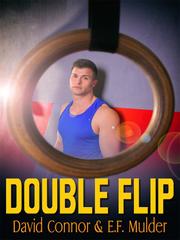 Double Flip Book