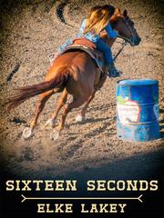 Sixteen Seconds Book