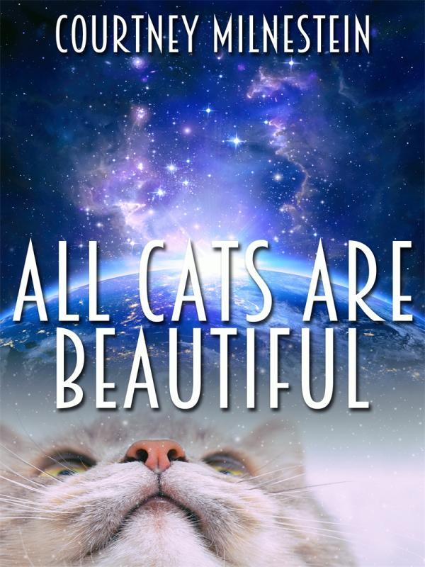 All Cats Are Beautiful
