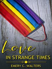 Love in Strange Times Book