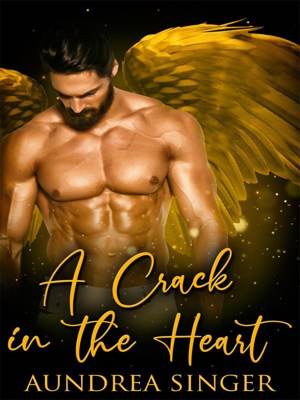 A Crack in the Heart Book