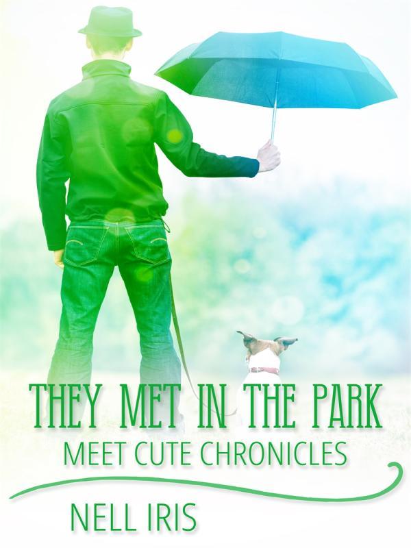 They Met in the Park Book
