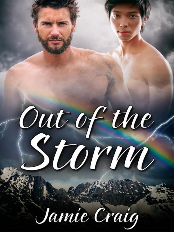 Out of the Storm Book