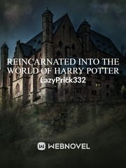 Reincarnated Into The World Of Harry Potter - dropped - rewritten Book