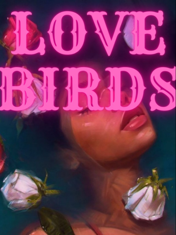 Love birdss Book