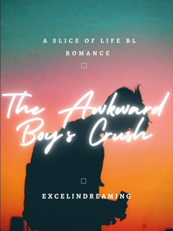 The Awkward Boy's Crush (BXB) Book