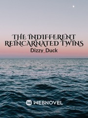 The Indifferent Reincarnated Twins Book